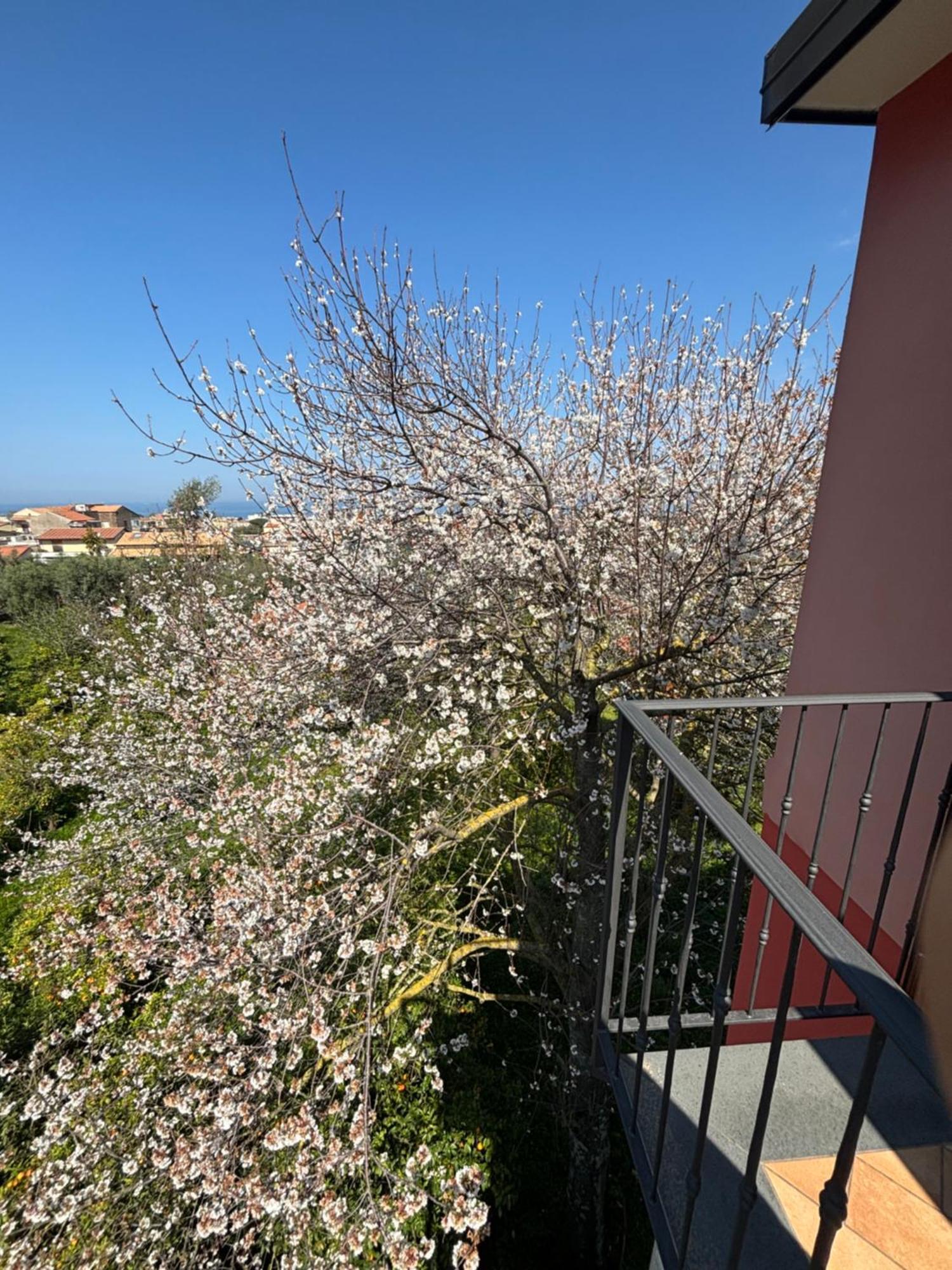 Intero Appartamento A Sant'Agnello , Le Ortensie 외부 사진